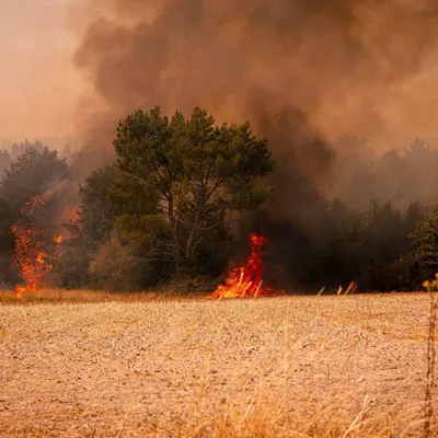 Loir-et-Cher : un pyromane interpellé grâce au sang-froid des...