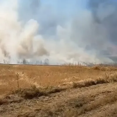 Eure-et-Loir : Plus de 130 hectares ravagés par les flammes ce...