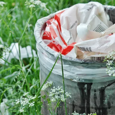 Une action pour "une ville plus propre" 