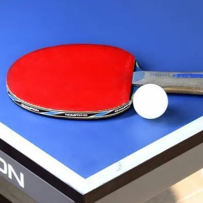 Tennis de table (Pro A) : reprise difficile pour le C’CTT 