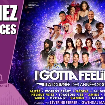 Gagnez vos places pour "I GOTTA FEELING" la tournée des années 2000 