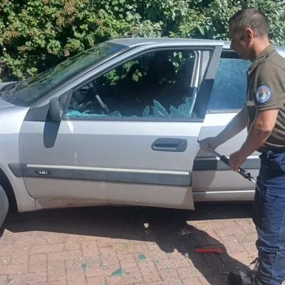 2 chiens sauvés hier dans le Pas de Calais, alors qu'ils étaient...