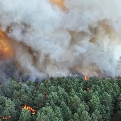 Un pompier reconnaît son implication, dans l'incendie de la forêt...