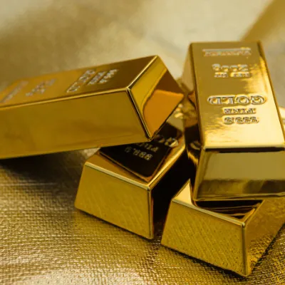 Un homme a découvert il y a peu, un véritable trésor dans son...