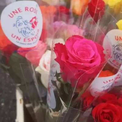 Une rose un espoir : plus de 2,8 millions d’euros reversés à la...