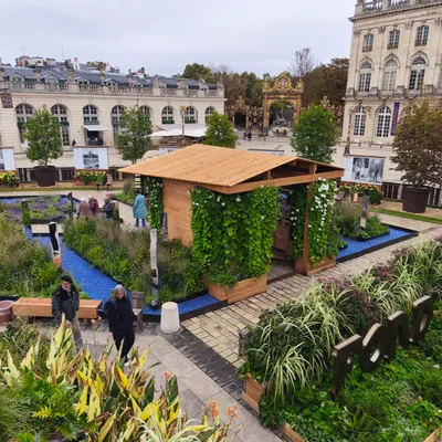 (Photos) : le jardin éphémère prend racine sur la place Stanislas