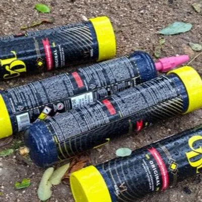 Haut-Rhin : une association est lancée pour sensibiliser aux...