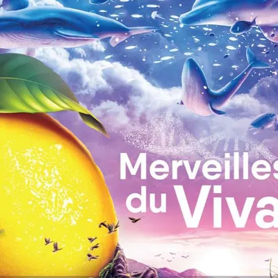 Menton et Mandelieu en fête : citron et mimosa à l’honneur