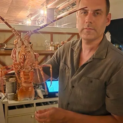 Roquebrune-Cap-Martin : il achète une langouste 300 euros pour la...