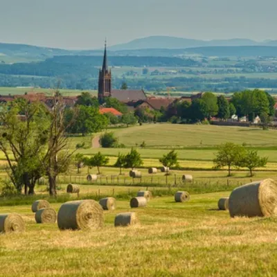 Bouxwiller distinguée par le Guide Vert Michelin, un nouveau coup...