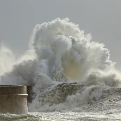 Tempête Goretti : des équipes Enedis de l’Est mobilisées pour...