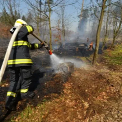 Un exercice grandeur nature contre les feux de forêt organisé ce...