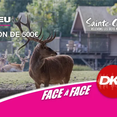 DKL vous offre votre bon d'achat de 500€ valable sur les lodges du...