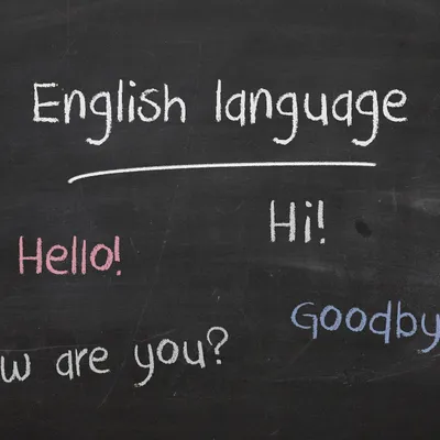 Cannes : l’anglais, la lecture et le jardinage au programme des...