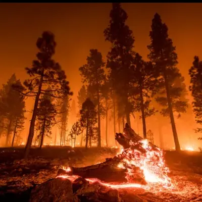 1er mai en Allemagne : vigilance accrue face au risque élevé...