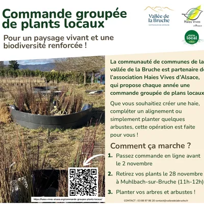 Vallée de la Bruche : une commande groupée d’arbres locaux pour...