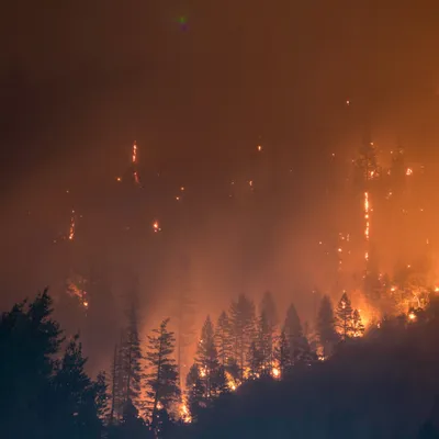 Var : L' incendie du Gros Bessillon désormais fixé après avoir...