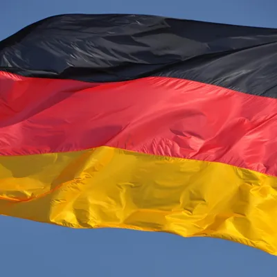 Allemagne : l’AfD arrive en tête d’une élection régionale