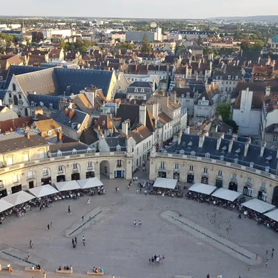 Dijon, terre de vins : une visite du centre historique au sommet de...