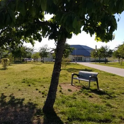 Que faire à Marsannay ? Trois événements culturels gratuits au mois...