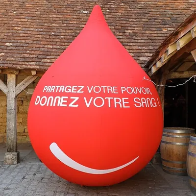 Dijon parmi les villes retenues pour la journée mondiale du don du...
