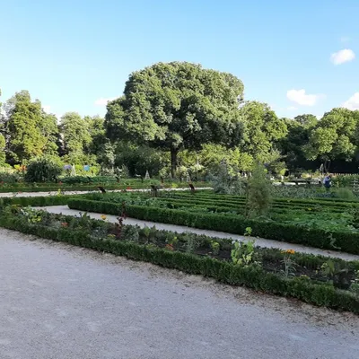 Biennale d’art singulier 2026 à Dijon : un appel à créations ouvert...