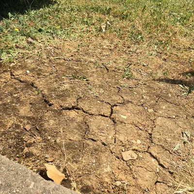 Incendie à Saint-Apollinaire et canicule : Dijon métropole appelle...