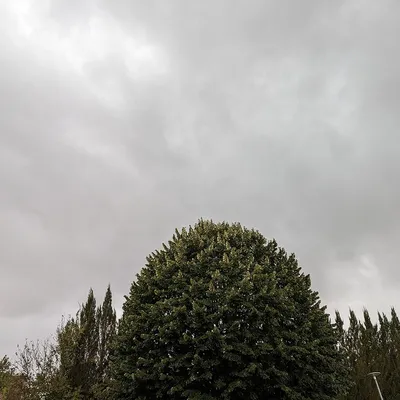 Tempête Nils : François Sauvadet et le département de la Côte-d’Or...