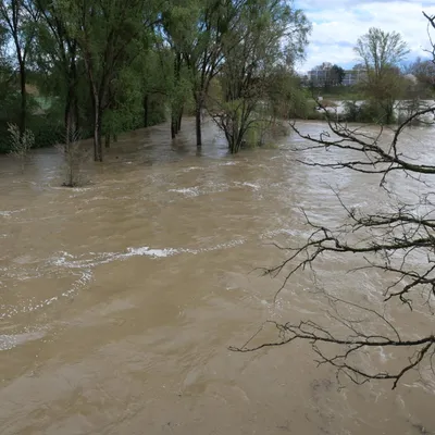 Tempête Nils en Côte-d'Or : des routes inondées et des arbres...