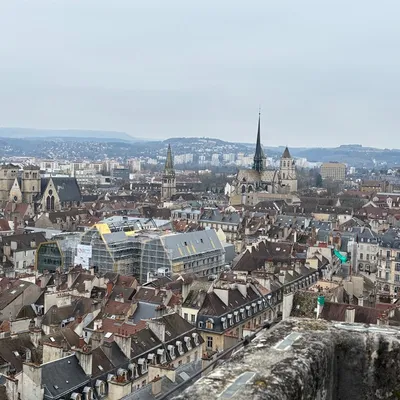 « L'arbre à souhait » du centre ville : les commerçants dans...