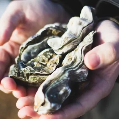 Une collecte insolite à Chevigny-Saint-Sauveur 