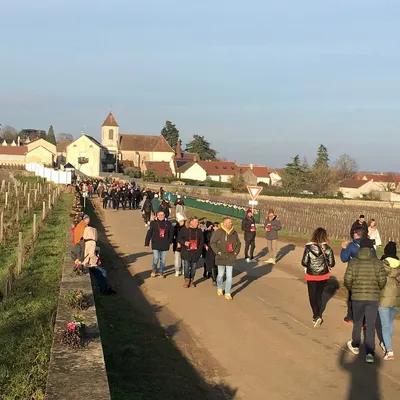 Saint-Vincent Tournante Maranges 2026 : comment y-aller ? 