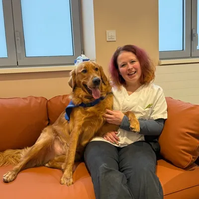 Découvrez Vox, le chien du CHU de Dijon Bourgogne qui aide les...