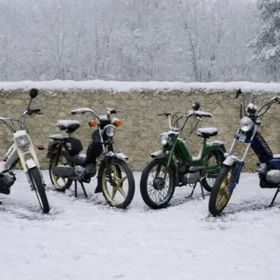 Une vente aux enchères de mobylettes en plein Dijon ce vendredi