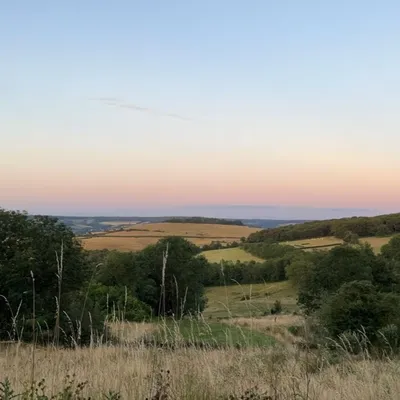 Trail Côtelettes : une course et un barbecue géant, cet événement...