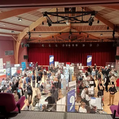Chevigny-Saint-Sauveur : un forum de l’emploi à la salle du Polygone