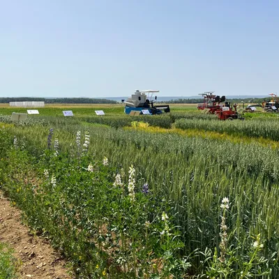 INRAE : le nouveau membre d’un accord japo-dijonnais sur...