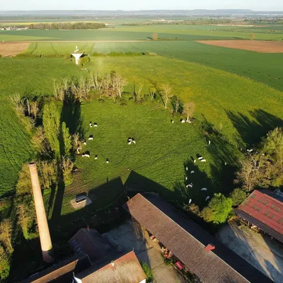 Côte-d’Or : une journée portes ouvertes dans la ferme de Tart-le-Bas