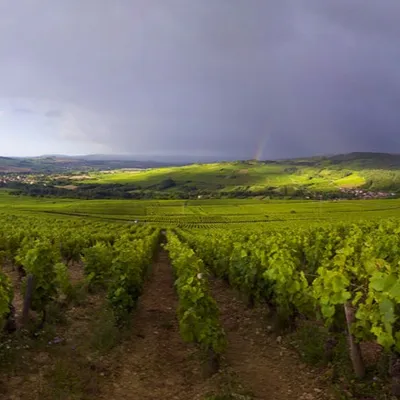 Week-end de Pâques : près de 4 000 visiteurs aux Maranges