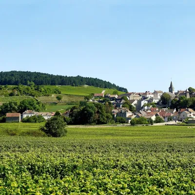 Le Printemps de Monthelie revient ce week-end pour deux journées de...