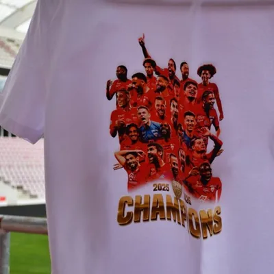 DFCO : le titre de champion et le retour en Ligue 2 célébrés avec...