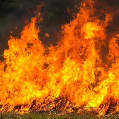 Incendie à Couchey et Marsannay-la-Côte : Dijon et la Métropole...