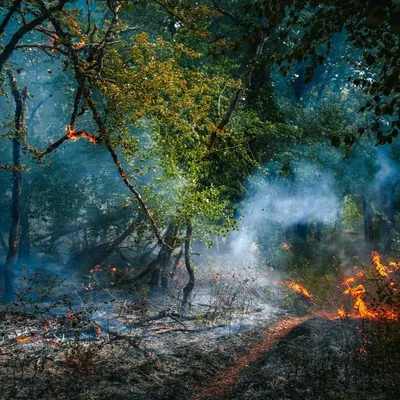 Face aux incendies les collectivités de Côte-d’Or se mobilisent...