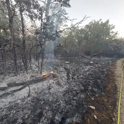 Incendie en Côte-d’Or : un feu s’est déclenché dans la forêt du...