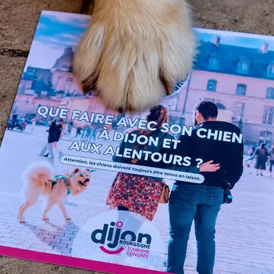 La Semaine Nationale du Chien revient fin septembre du côté de Dijon