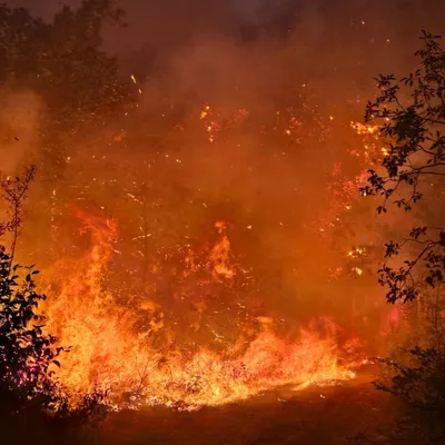 Incendies à Velars-sur-Ouche et Plombières-lès-Dijon : le point sur...