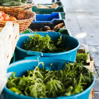  « De la ferme à l’assiette », une journée 100 % locale place de la...