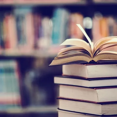 Braderie culturelle à Dijon : plus de 8 000 livres et CD à 1 euro...
