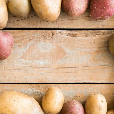 Deux jours de fête autour et de la patate des producteurs locaux à...