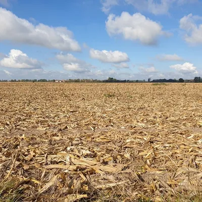En Côte-d’Or la Chambre d’agriculture juge les aides encore très...